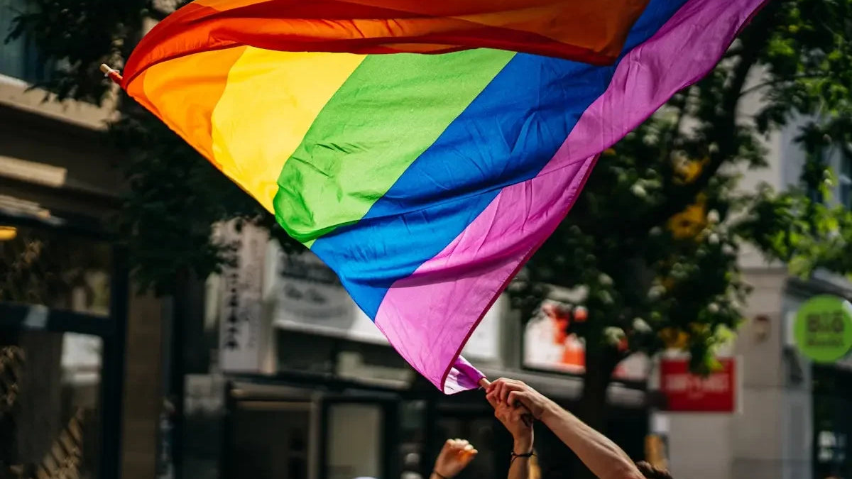 people holding flags during daytime
